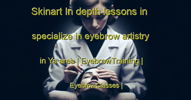 Skinart In-depth lessons in specialize in eyebrow artistry in Ya area | EyebrowTraining | EyebrowClasses | SkinartTraining-Burkina Faso